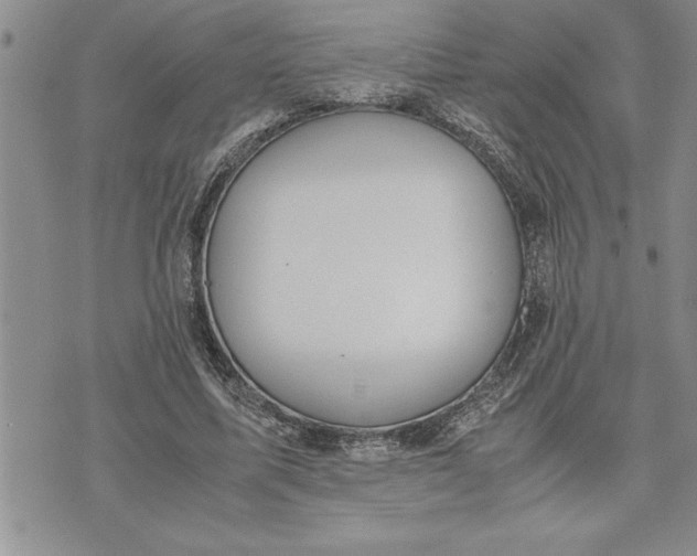 X0000071830587200607141702