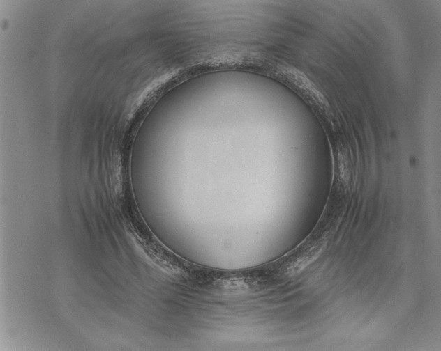 X0000071830588200607141702