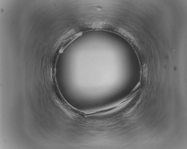 X0000071830589200607141702