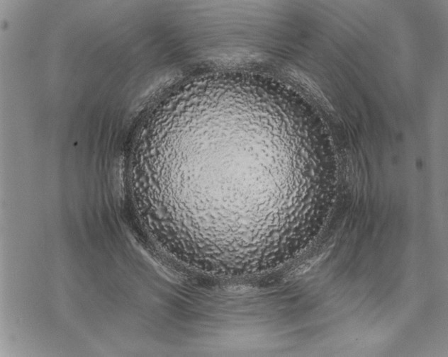 X0000071830590200607141702