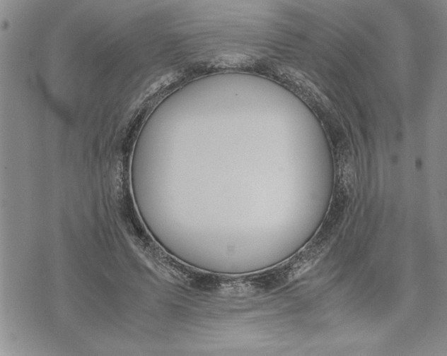 X0000071830591200607141702