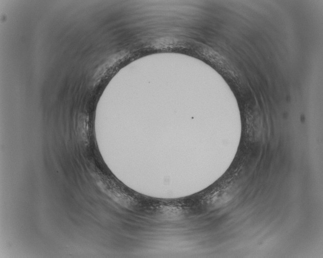 X0000071830592200607141702