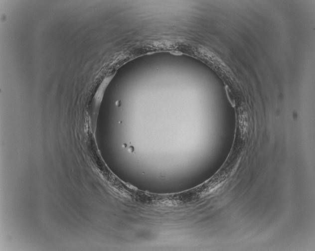 X0000071830593200607141702