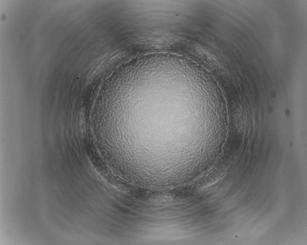 X0000071830594200607141702