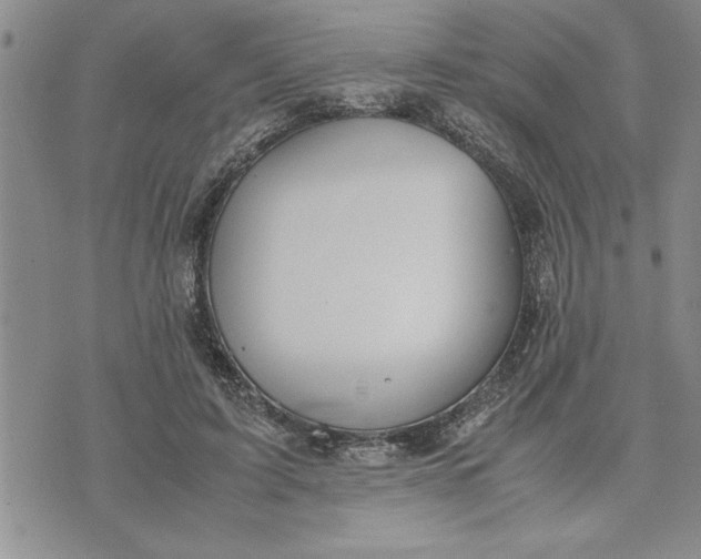 X0000071830595200607141702