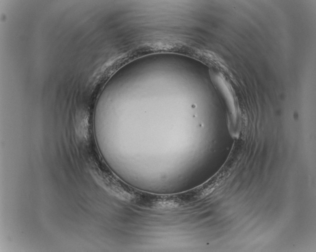 X0000071830596200607141702