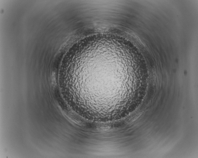 X0000071830598200607141702