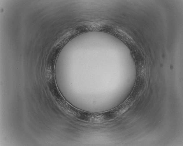 X0000071830599200607141702