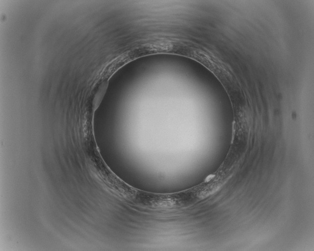 X0000071830600200607141702