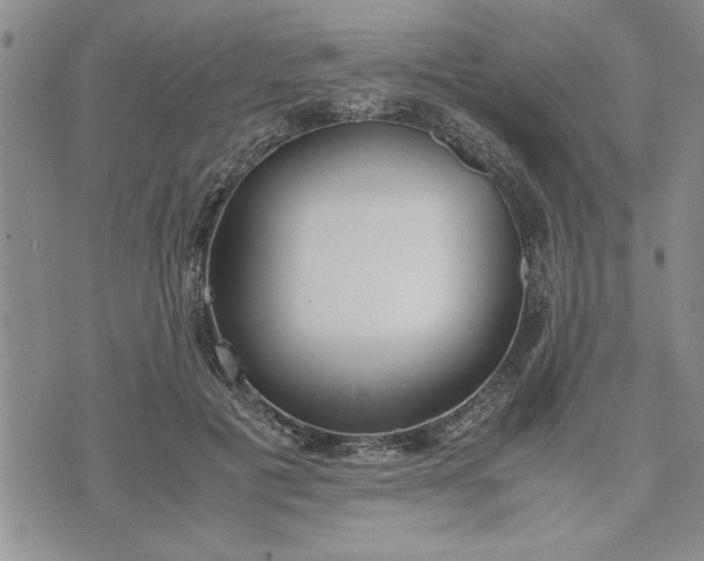 X0000071830601200607141702