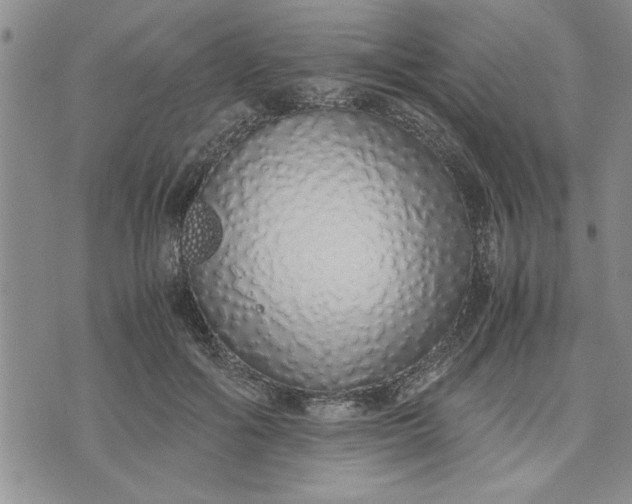 X0000071830602200607141702