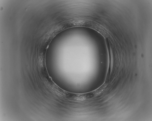 X0000071830604200607141702