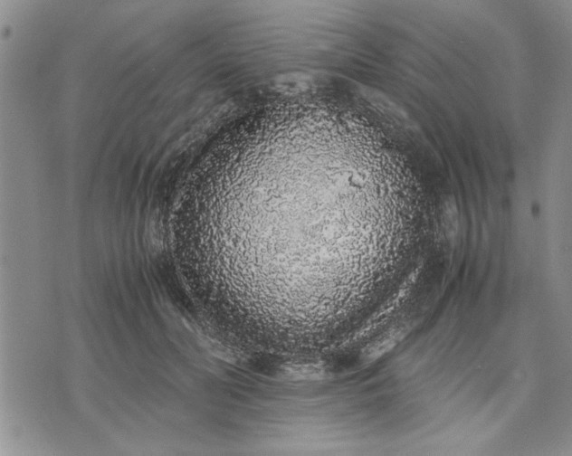 X0000071830606200607141702