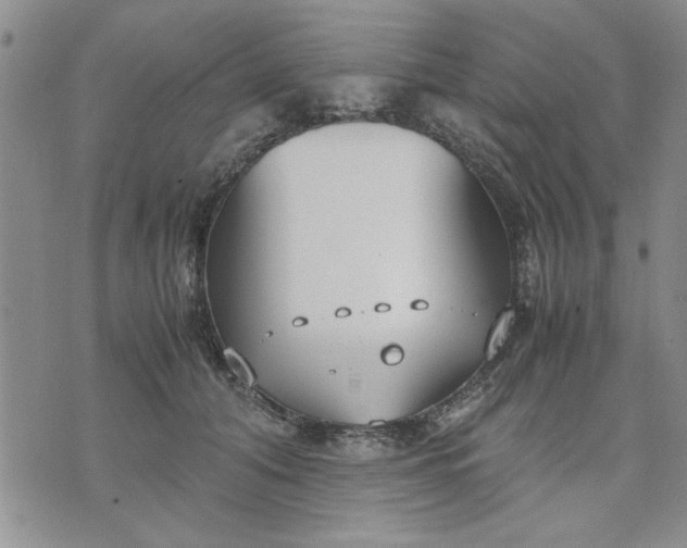 X0000071830608200607141702