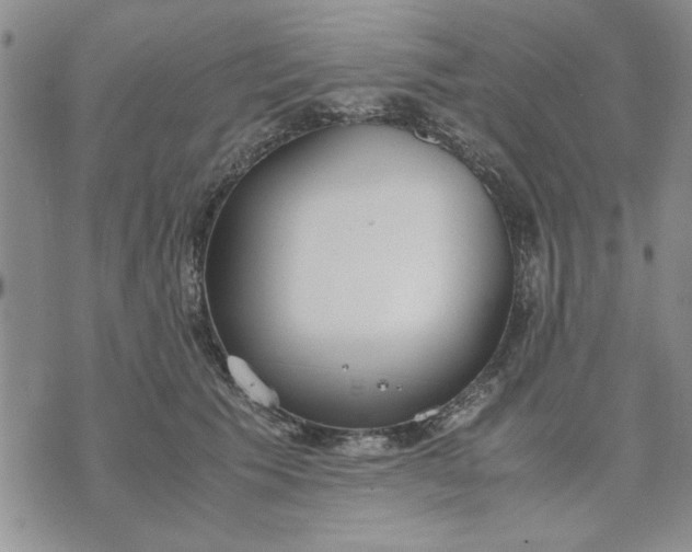 X0000071830609200607141702