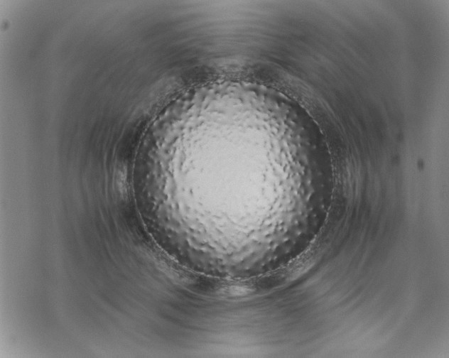 X0000071830610200607141702