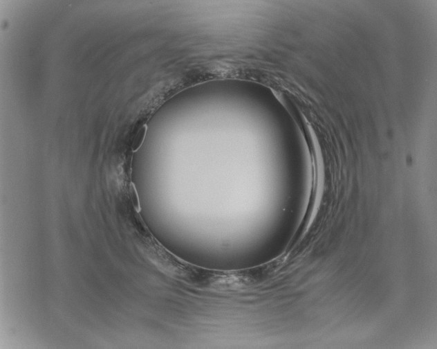 X0000071830611200607141702