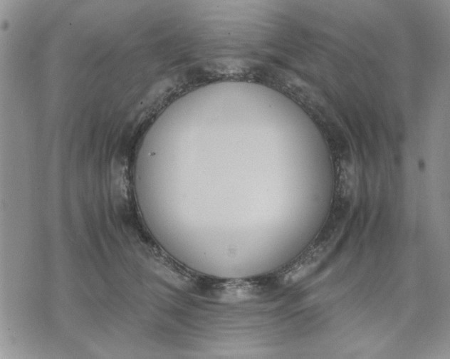 X0000071830612200607141702