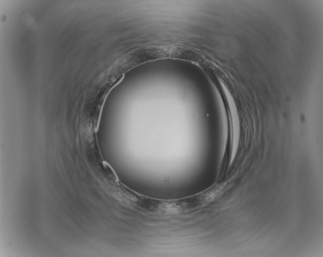 X0000071830613200607141702