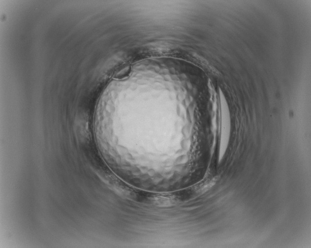 X0000071830615200607141702