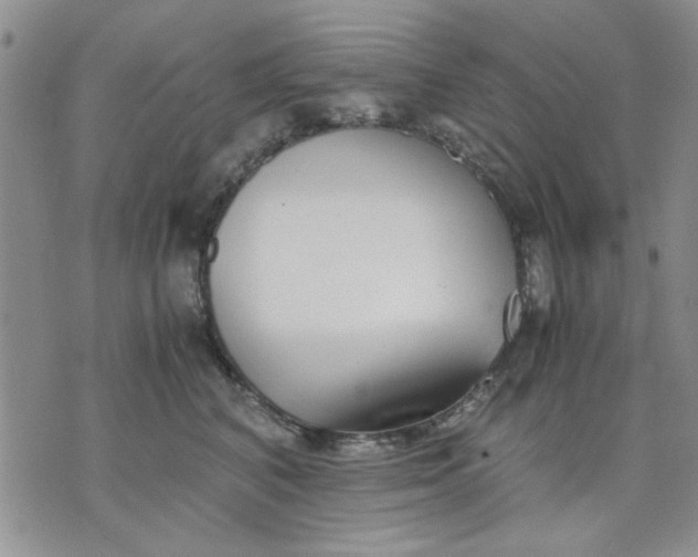 X0000071830616200607141702