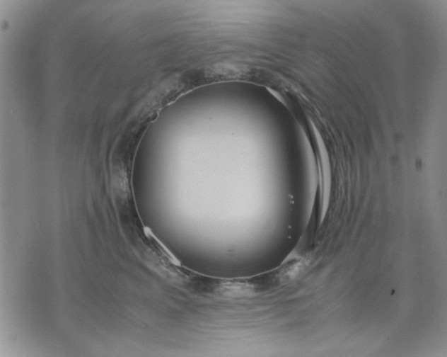 X0000071830617200607141702