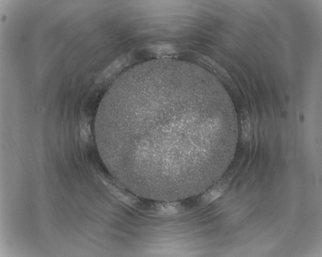 X0000071830618200607141702