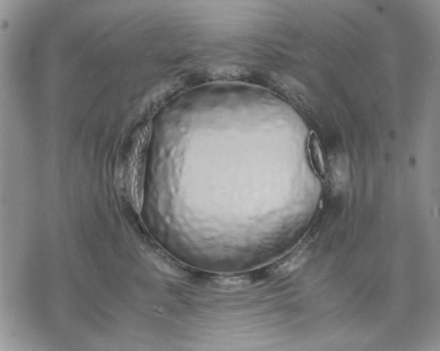 X0000071830619200607141702