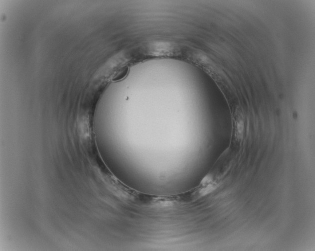 X0000071830620200607141702