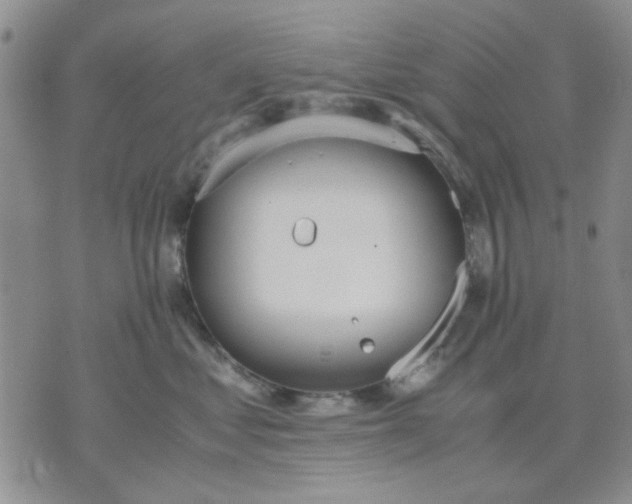 X0000071830621200607141702