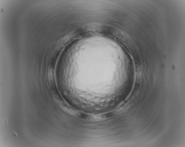 X0000071830623200607141702