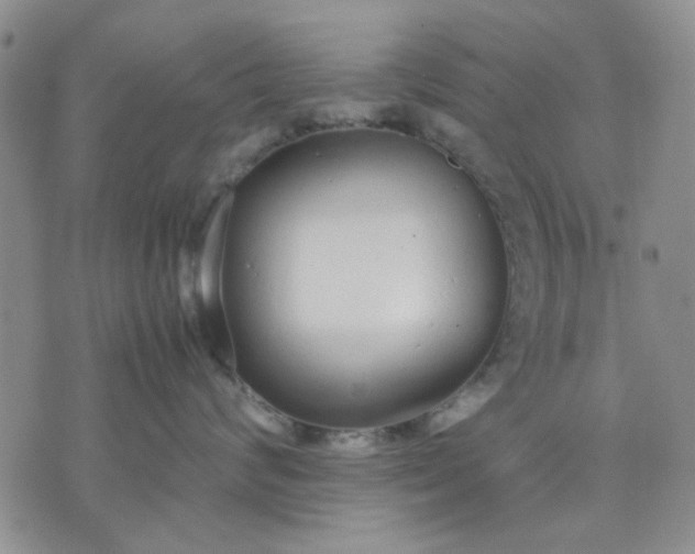 X0000071830624200607141702