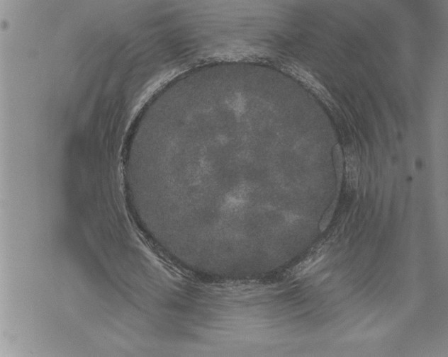 X0000071830626200607141701