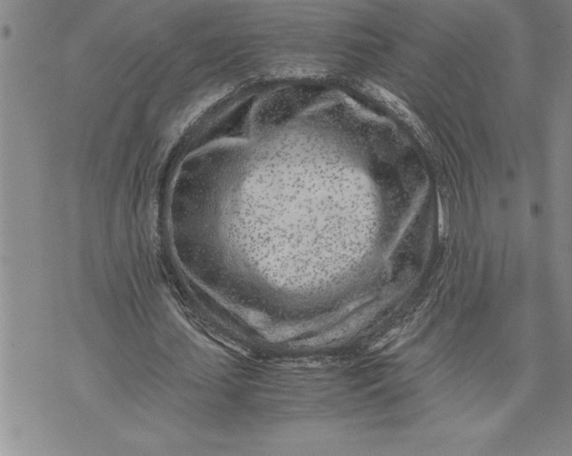 X0000071830627200607141701