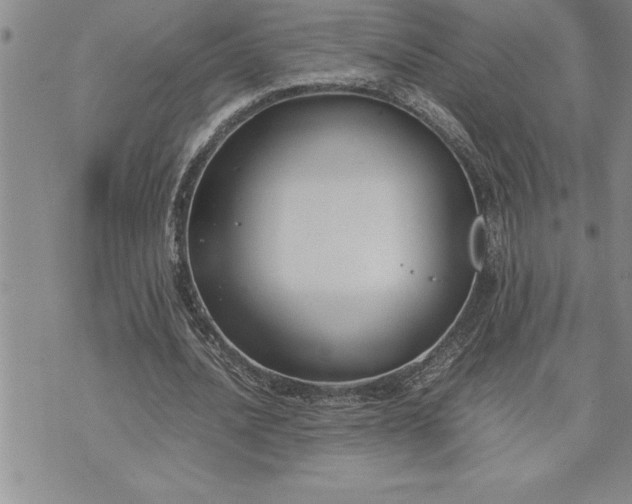 X0000071830628200607141701