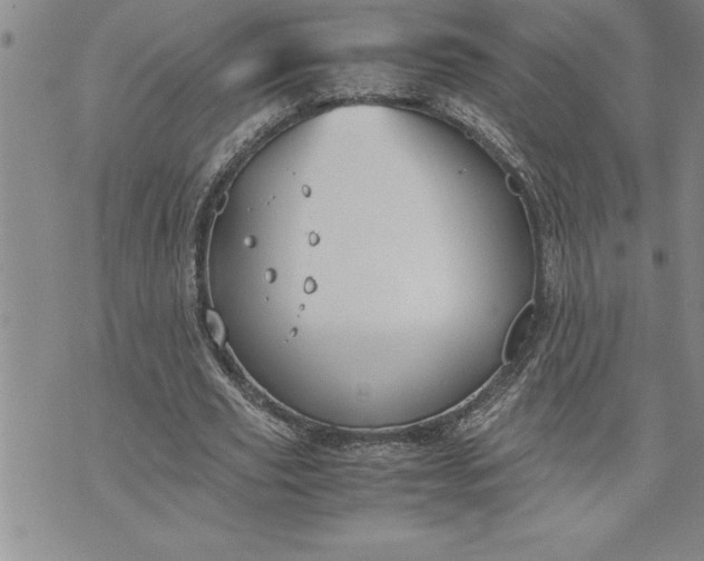 X0000071830629200607141701