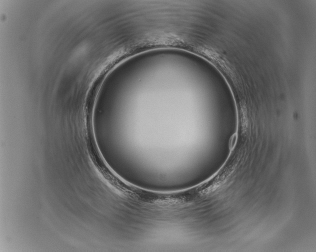 X0000071830630200607141701