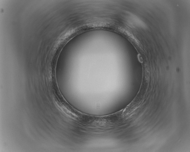 X0000071830631200607141701