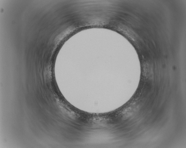 X0000071830632200607141701