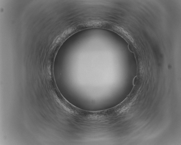 X0000071830633200607141701