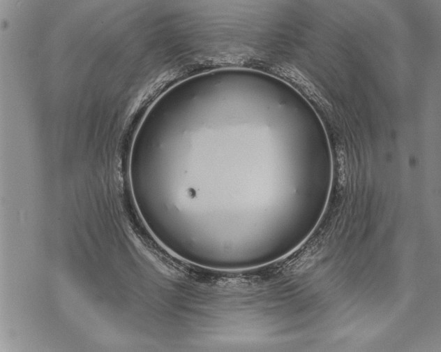 X0000071830634200607141701