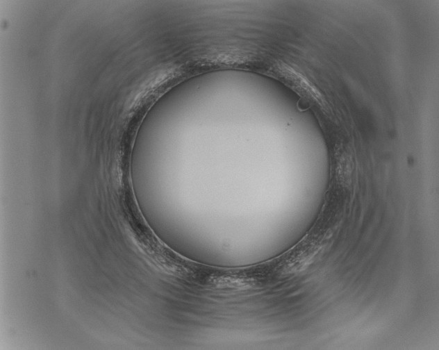 X0000071830635200607141701