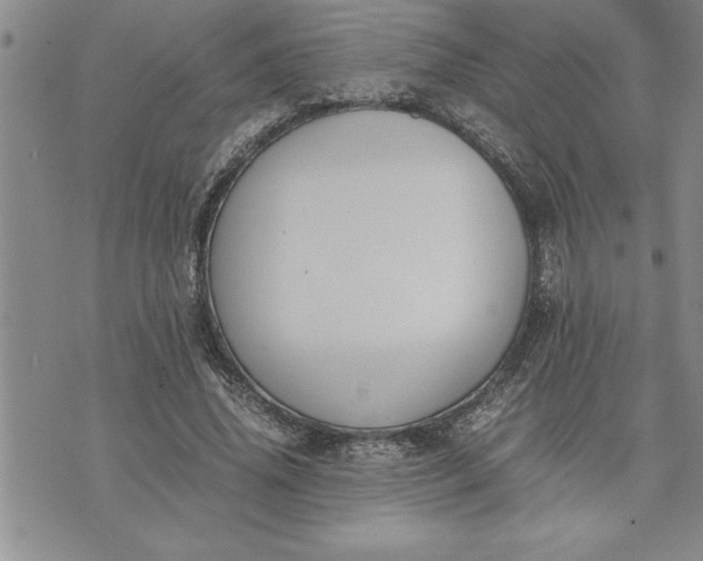 X0000071830636200607141701