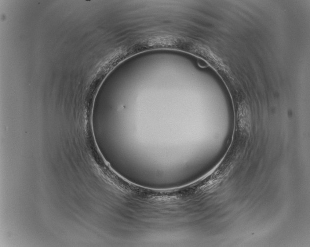 X0000071830637200607141701