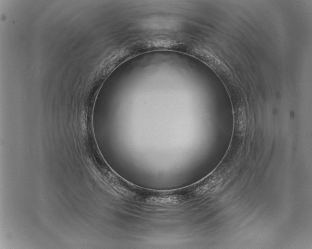 X0000071830639200607141701