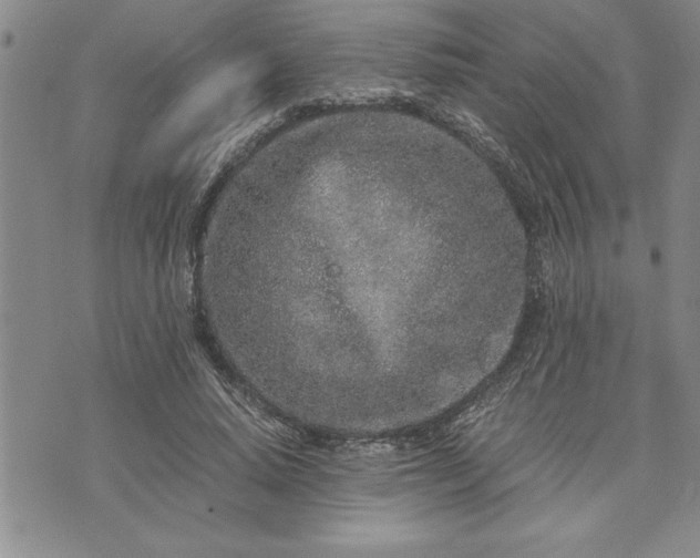 X0000071830640200607141701