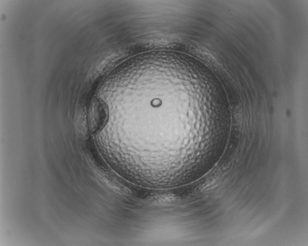 X0000071830642200607141701