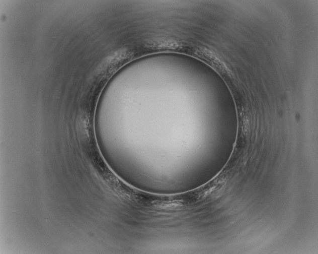 X0000071830643200607141701