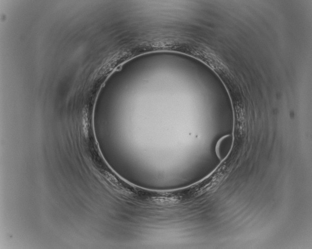 X0000071830644200607141701