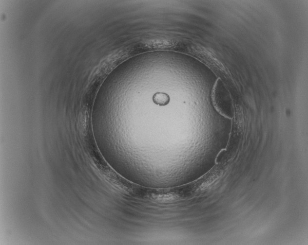 X0000071830645200607141701